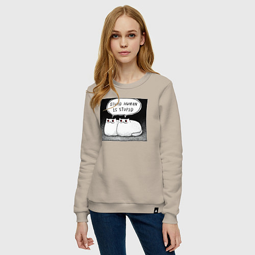 Женский свитшот Мрачный кот - тупой человек тупой / Миндальный – фото 3