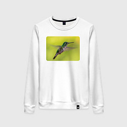 Женский свитшот Милая колибри