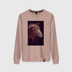 Свитшот хлопковый женский Лошадь во всей красе, цвет: пыльно-розовый