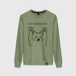 Женский свитшот Joy Division - rock cat