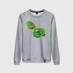 Женский свитшот Арбузик