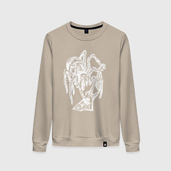 Женский свитшот Spider rock