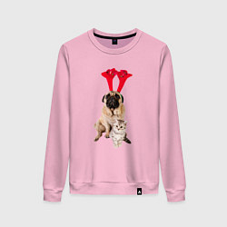 Женский свитшот Мопс с ушками и котёнок