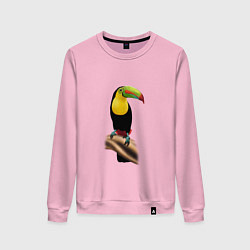 Свитшот хлопковый женский Птица тукан, цвет: светло-розовый