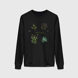 Свитшот хлопковый женский The botanical world easy, цвет: черный