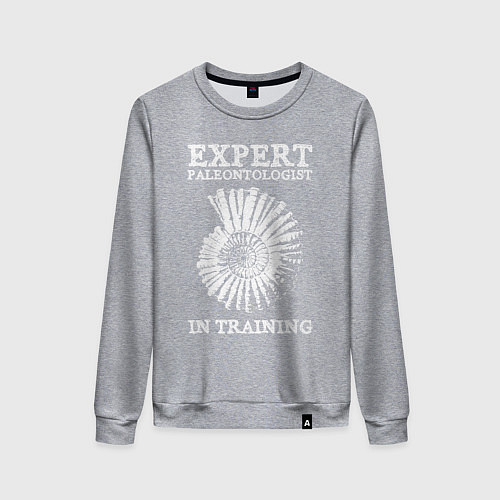 Женский свитшот Эксперт палеонтолог на стажировке / Меланж – фото 1