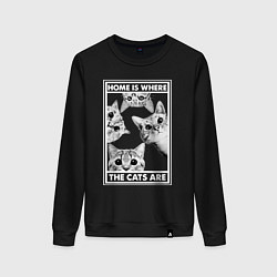 Свитшот хлопковый женский Home is where the cats are, цвет: черный