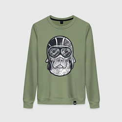 Женский свитшот Пёс авиатор