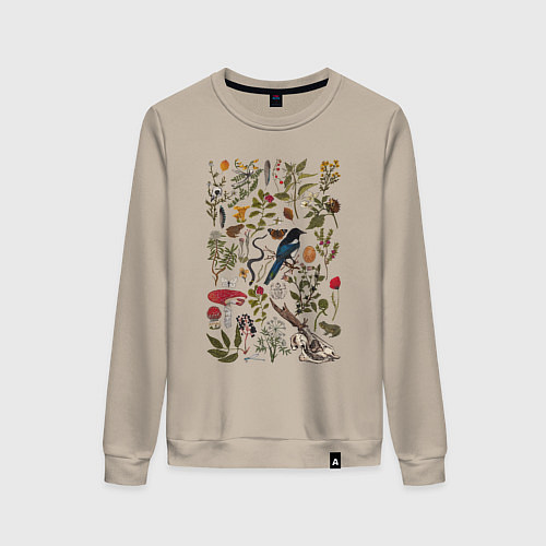 Женский свитшот Сорокино сокровище / Миндальный – фото 1