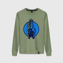 Женский свитшот Синий скакун