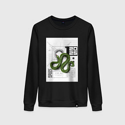 Женский свитшот Змея 2025 Y2K