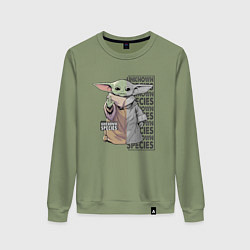 Женский свитшот Unknown specis - Baby Yoda