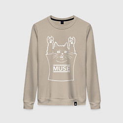 Свитшот хлопковый женский Muse - cat rock, цвет: миндальный
