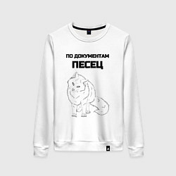 Женский свитшот По документам песец
