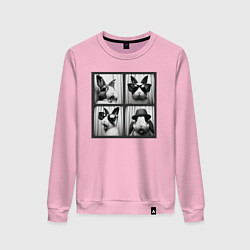 Свитшот хлопковый женский Кролик в фотобудке, цвет: светло-розовый