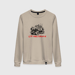Свитшот хлопковый женский Авто стипанк, цвет: миндальный