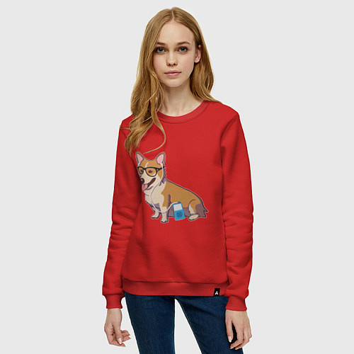 Женский свитшот Хипстер Корги / Красный – фото 3