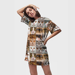 Футболка женская длинная Pedigreed cats, цвет: 3D-принт — фото 2