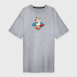 Женская футболка-платье Пес Супермена Крипто DC Лига Суперпитомцы