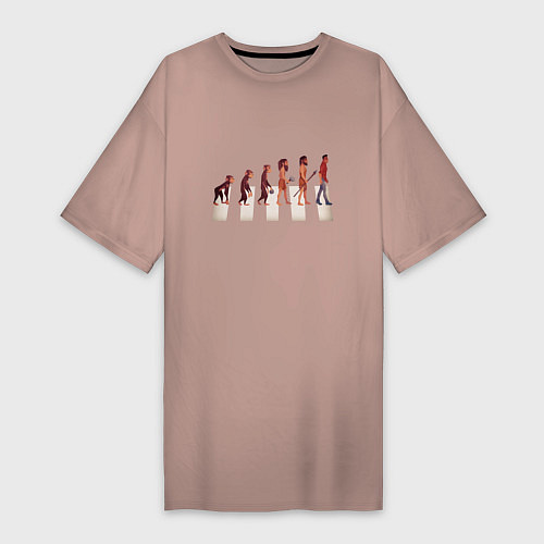 Женская футболка-платье Human evolution / Пыльно-розовый – фото 1