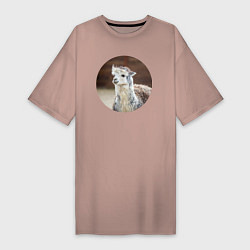 Женская футболка-платье Альпака