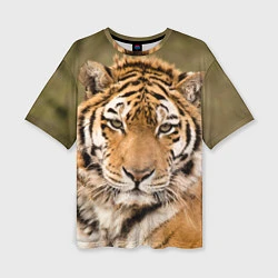 Женская футболка оверсайз Милый тигр