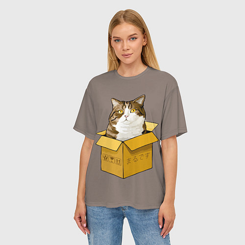 Женская футболка оверсайз Котик в коробке / 3D-принт – фото 3