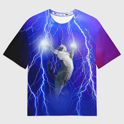 Женская футболка оверсайз Грозовой кошак