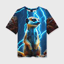 Футболка оверсайз женская Сурикат в разрядах молний, цвет: 3D-принт