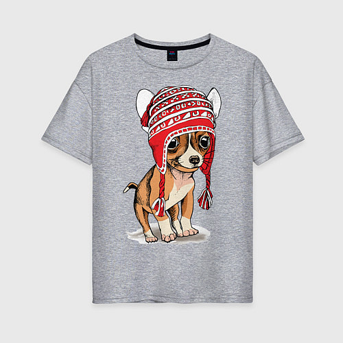 Женская футболка оверсайз Чихуахуа в шапочке / Меланж – фото 1