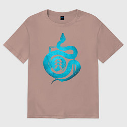 Футболка оверсайз женская DESTINY, HUNTER, цвет: пыльно-розовый