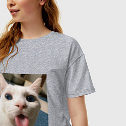 Футболка оверсайз женская Мем про кота, цвет: меланж — фото 2
