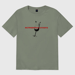 Футболка оверсайз женская Истребитель сухого, цвет: авокадо