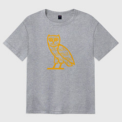 Футболка оверсайз женская Drake сова, цвет: меланж