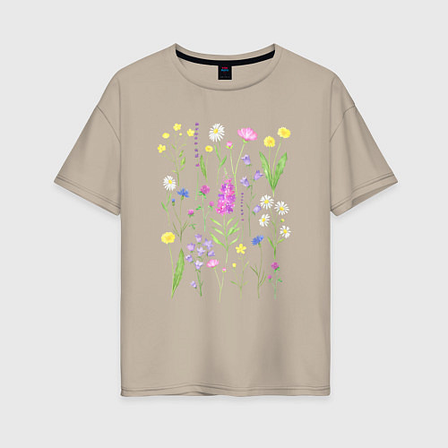 Женская футболка оверсайз Полевые цветы, растения акварелью Ботаника / Миндальный – фото 1