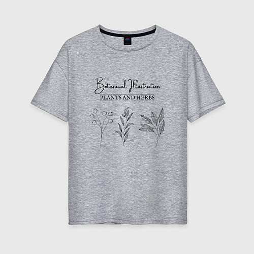 Женская футболка оверсайз Растения травы минимализм ботаническая иллюстрация / Меланж – фото 1