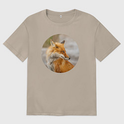 Футболка оверсайз женская Лиса оглядывается, цвет: миндальный