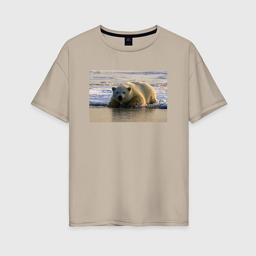 Женская футболка оверсайз Медведь на севере / Миндальный – фото 1