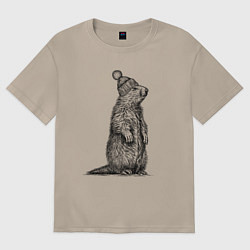 Футболка оверсайз женская Сурок в шапке, цвет: миндальный