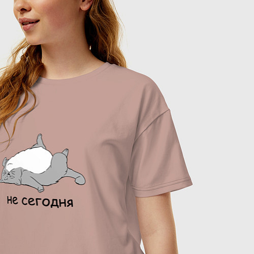 Женская футболка оверсайз Не сегодня кот / Пыльно-розовый – фото 3