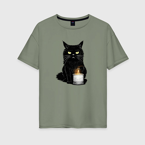 Женская футболка оверсайз Кот с примусом / Авокадо – фото 1