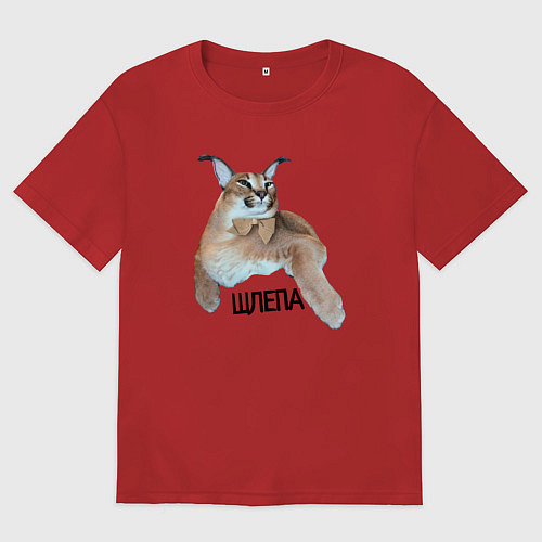 Женская футболка оверсайз Каракет кот Шлепа блоггер / Красный – фото 1