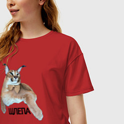 Футболка оверсайз женская Каракет кот Шлепа блоггер, цвет: красный — фото 2