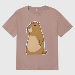 Женская футболка оверсайз Прекрасная капибара