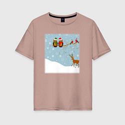 Футболка оверсайз женская Новогодние птицы на ветке, цвет: пыльно-розовый