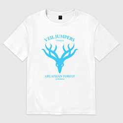 Футболка оверсайз женская Veil Jumpers - Dragon Age, цвет: белый