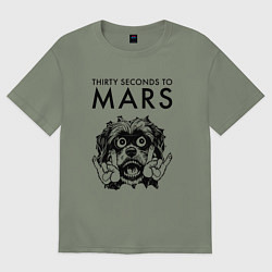 Футболка оверсайз женская Thirty Seconds to Mars - rock dog, цвет: авокадо