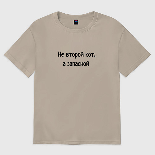 Женская футболка оверсайз Не второй кот / Миндальный – фото 1