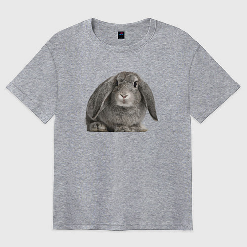 Женская футболка оверсайз Серый пушистый кролик / Меланж – фото 1