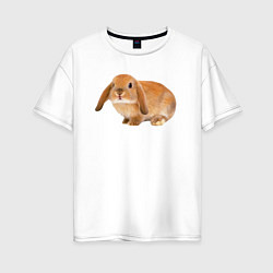 Женская футболка оверсайз Рыжий пушистый кролик